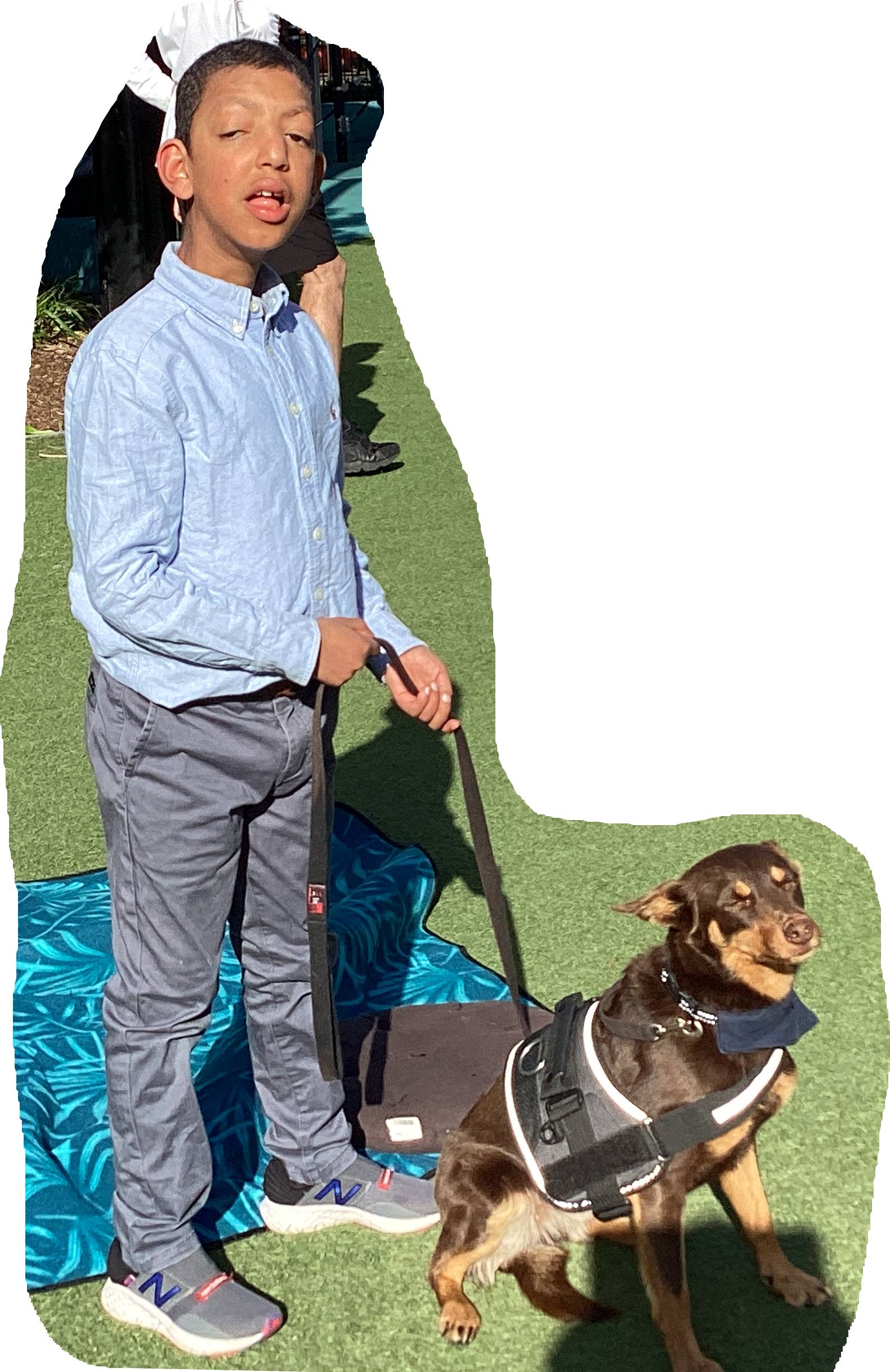 Picnic activity